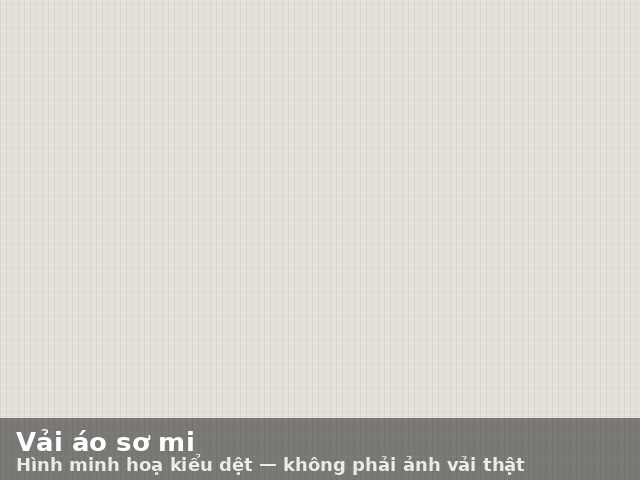 Hình minh hoạ kiểu dệt Áo Sơ Mi